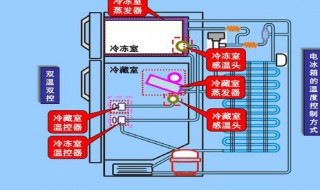 冰箱上电后怎么工作（电冰箱利用什么工作）