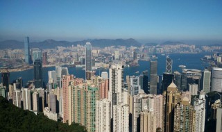 高楼层为什么会有隐翅虫（20多楼会有隐翅虫）