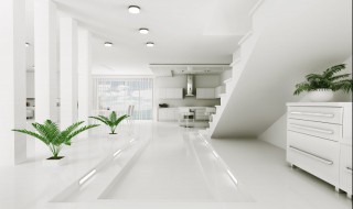 家装现代简约风格介绍（现代简约风格家装案例）